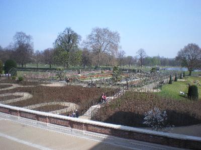View from Kensington Palace