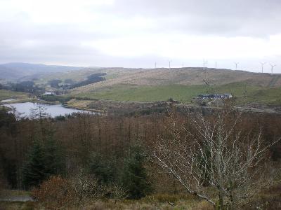 View from Nant Yr Arian forest walk, with large windfarm visible on the hills
