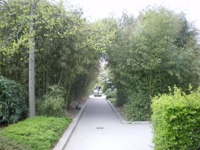 Walking the Promenade Plant�e