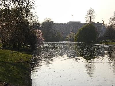 Looking towards Buckingham Palace from St James's Park