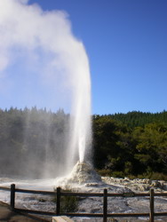 The Lady Knox geyser lets rip!