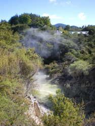 A steaming pool in Wai-O-Tapu thermal park