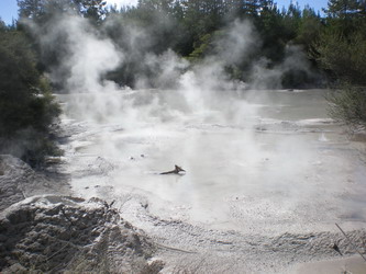 Bubbling mud pools in Wai-O-Tapu thermal park