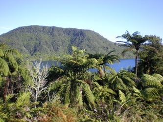 Overlooking the Green Lake