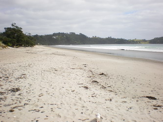 The deserted beach at Onetangi on Waiheke Island